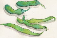 iV