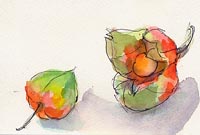 iV
