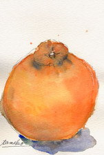 iPP