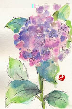 iV