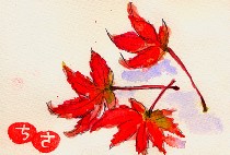 iR