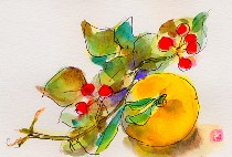 iV