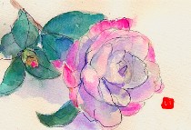 iR