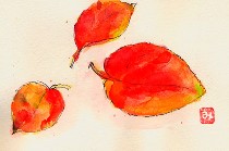 iT