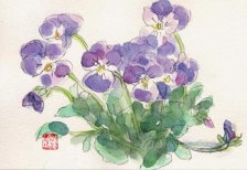 iV